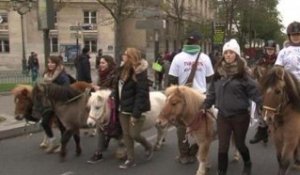 Equitaxe: des milliers de manifestants dans la rue contre l'augmentation de la TVA - 24/11