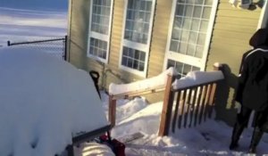 Un chien dans un labyrinthe de neige - Tricheur!