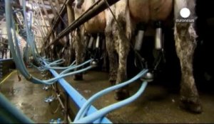 La Commission européenne veut interdire le clonage d'animaux d'élevage