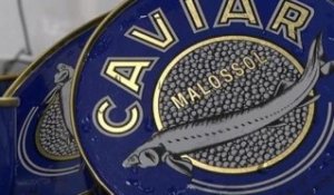 Le caviar made in Aquitaine - 29/12