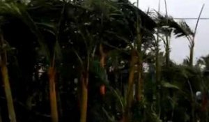 Cyclone Bejisa à La Réunion: "On sent de très très grosses rafales" -02/01