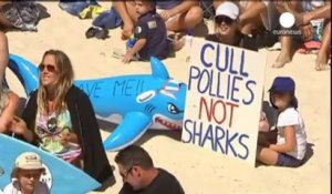 Australie : l'abattage des requins fait grincer des dents