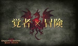 Dragon's Dogma : Dark Arisen - Staff Interview #1