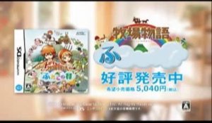Harvest Moon : The Tale of Two Towns - Pub Japon
