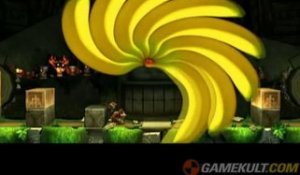 Donkey Kong Country Returns - Le gros aigle