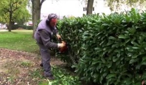 La VAE dans les Pays de la Loire - Nantes Habitat