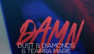 Dust & Diamond & Teairra Marie (feat. Nicki Minaj) - Damn (extrait)