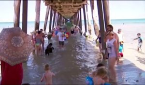 Canicule en Australie: plus de 43° à Melbourne