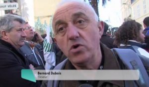 Célà tv Le JT - Les agriculteurs manifestent contre la directive nitrates