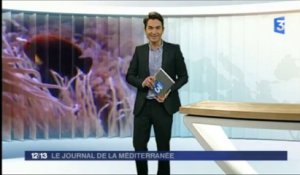 France 3 - Journal de la Méditerranée - 25 janvier 2013