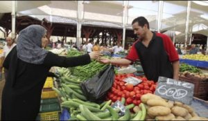 Le grand angle diplo : en Tunisie, le jasmin peut-il refleurir?