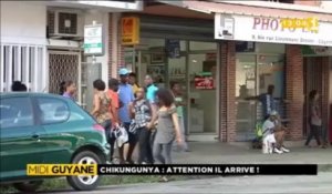 Chikungunya : arrivée sur le sol Guyanais
