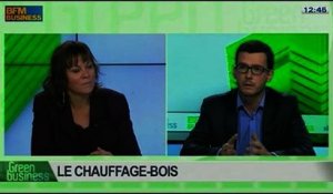Le chauffage-bois: Baptiste Ploquin et Patricia Laurent, dans Green Business – 09/02 4/4
