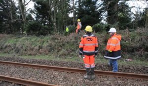 Tempête Ulla : Des arbres bloquent les voies de TGV