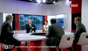 Chlordécone, les Antilles empoisonnées ? - Le débat