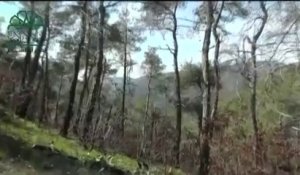 Le crash de l'avion de chasse syrien, abattu par la Turquie, filmé en direct