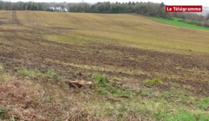 Quimper. "Sus aux pesticides" rappelle Eau et rivières