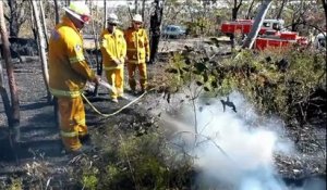 Asutralie: les pompiers parviennent progressivement à maîtriser le feu