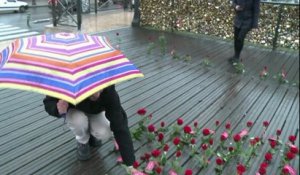 St Valentin: des roses sur le pont des Arts