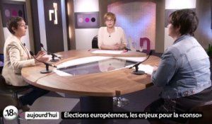 18h aujourd'hui : Elections européennes / Jolis Mômes