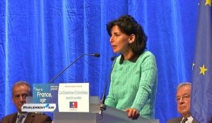 Européennes : meeting de l'UMP dans les Hauts-de-Seine