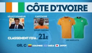 Coupe du Monde 2014 : focus sur la Côte d'Ivoire !