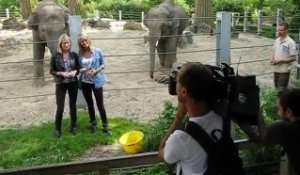 Les Animaux de la 8, tournage de l'émission télé au zoo de Maubeuge