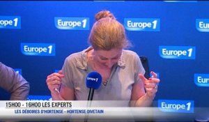 Hortense Divetain - La pente vers Pôle emploi