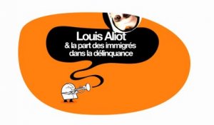 Louis Aliot & la part des immigrés dans la délinquance - DESINTOX - 16/06/2014