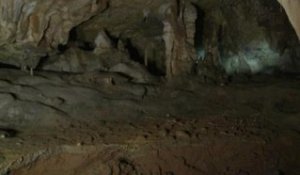 Visite guidée de la Grotte Chauvet, inscrite au patrimoine mondial de l'Unesco - 22/06