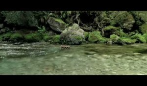 Bande-annonce : Minuscule - La Vallée des Fourmis Perdues - Teaser VF