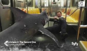 "Sharknado 2" : ridicule accrochage avec un requin dans un premier extrait !