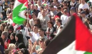 Manifestation pro-palestinienne à Lille