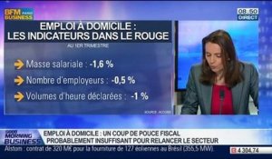 Delphine Liou: Emploi à domicile: un coup de pouce fiscal limité pour relancer le secteur  - 22/07