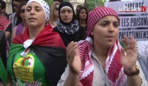 Rassemblement pro-palestinien : la colère des manifestants
