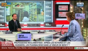 Isabelle Adenot, présidente du Conseil national de l'Ordre des pharmaciens, dans Le Grand Journal - 28/07 1/7