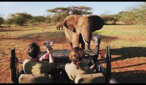 Bande-annonce : African Safari - VF