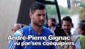 Gignac vu par ses coéquipiers