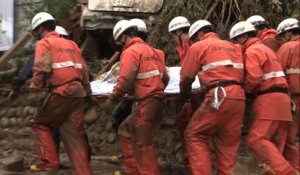 Japon: plus de 30 morts dans un glissement de terrain à Hiroshima