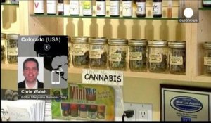 Le marché du cannabis médical explose aux Etats-Unis