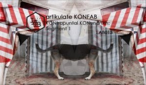 artikulate KONFAB - Illicit Substance - Official Video