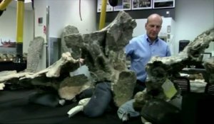 Le plus gros dinosaure reconstitué par des chercheurs américains