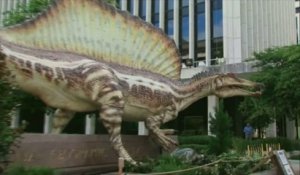 Le spinosaure, plus gros encore qu'un tyrannosaure