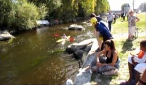 VIDEO. Châtellerault : grand beau temps sur la fête du kayak