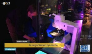 Un «zoo à microbes» ouvre à Amsterdam