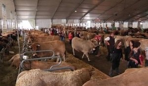 Salon de l'élevage: les agriculteurs remontés