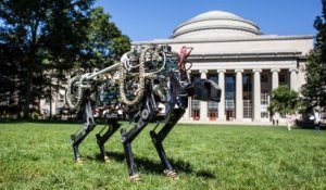 Cheetah, le robot du MIT qui court jusqu'à 16 km/h