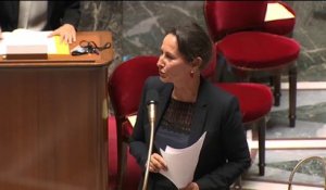 Projet de loi transition énergétique : discours de Ségolène Royal avant le début de l'examen des 2500 amendements