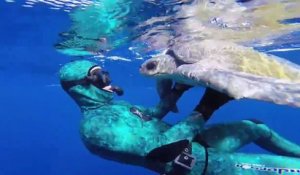 Un plongeur aide une tortue prise dans un filet