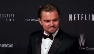 Leonardo DiCaprio travaille avec Netflix pour faire un documentaire sur des gorilles